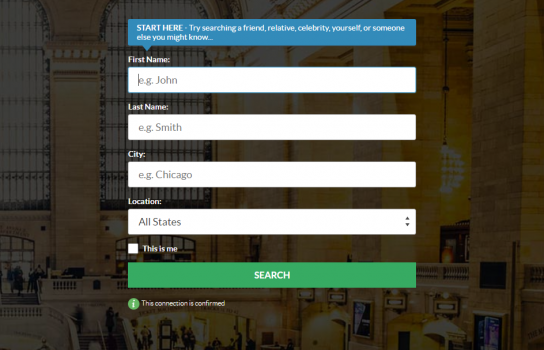 background check instant checkmate search window 